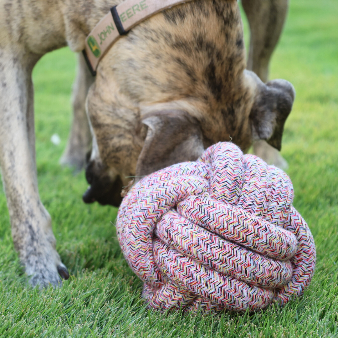 Bean Red Bliss Large Rope Ball Toy – Durable Chew for Aggressive Chewers by Knotty Pawz