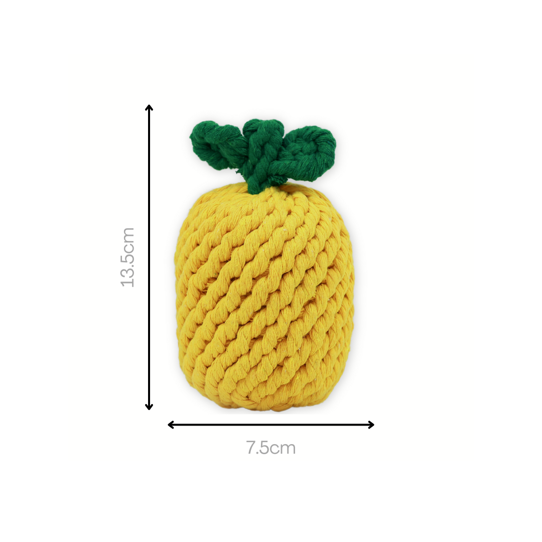 Knotty Large Pineapple Rope Toy-3