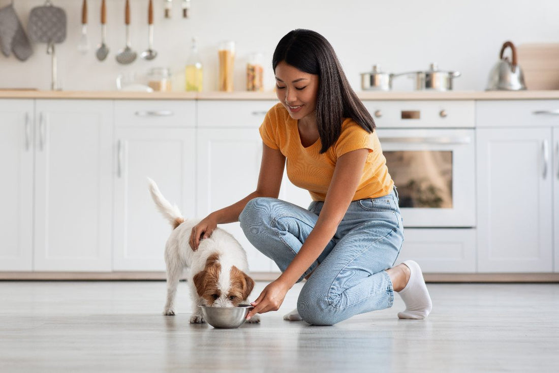 11 Healthy & Natural Treats for Dogs in Your Kitchen