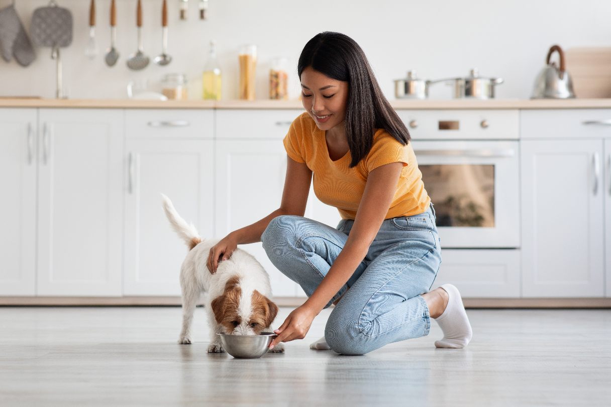 11 Healthy & Natural Treats for Dogs in Your Kitchen