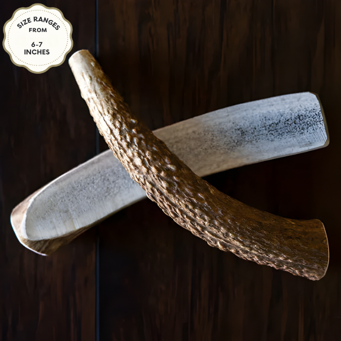 Elk Antler Chew – Natural Long-Lasting Dog Chew for All Breeds | Jagerhund