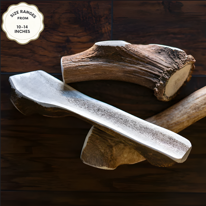 Elk Antler Chew – Natural Long-Lasting Dog Chew for All Breeds | Jagerhund