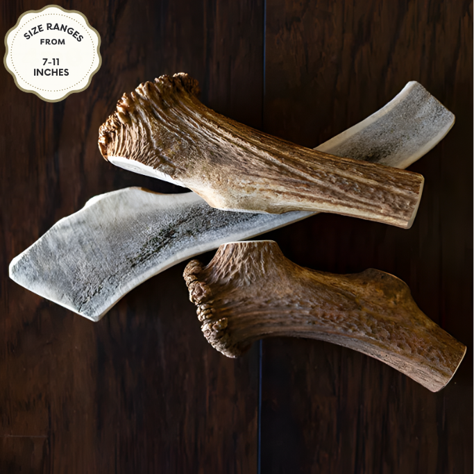 Elk Antler Chew – Natural Long-Lasting Dog Chew for All Breeds | Jagerhund