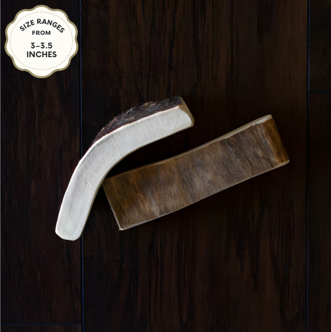 Moose Antler Dog Chew | Long-Lasting Natural Chew | Jagerhund