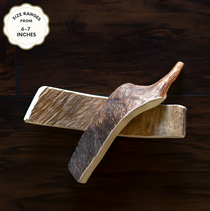 Moose Antler Dog Chew | Long-Lasting Natural Chew | Jagerhund