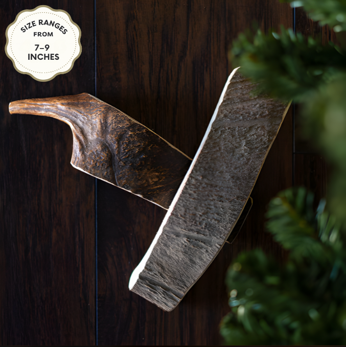 Moose Antler Dog Chew | Long-Lasting Natural Chew | Jagerhund