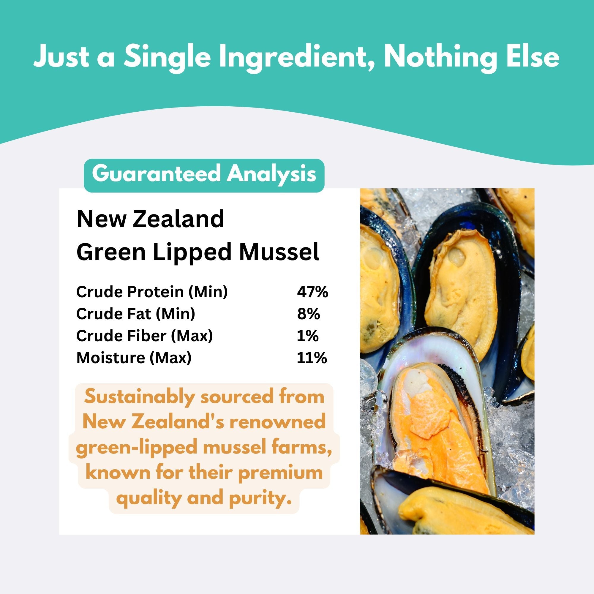 New Zealand Green Lipped Mussel Dog Treats-3
