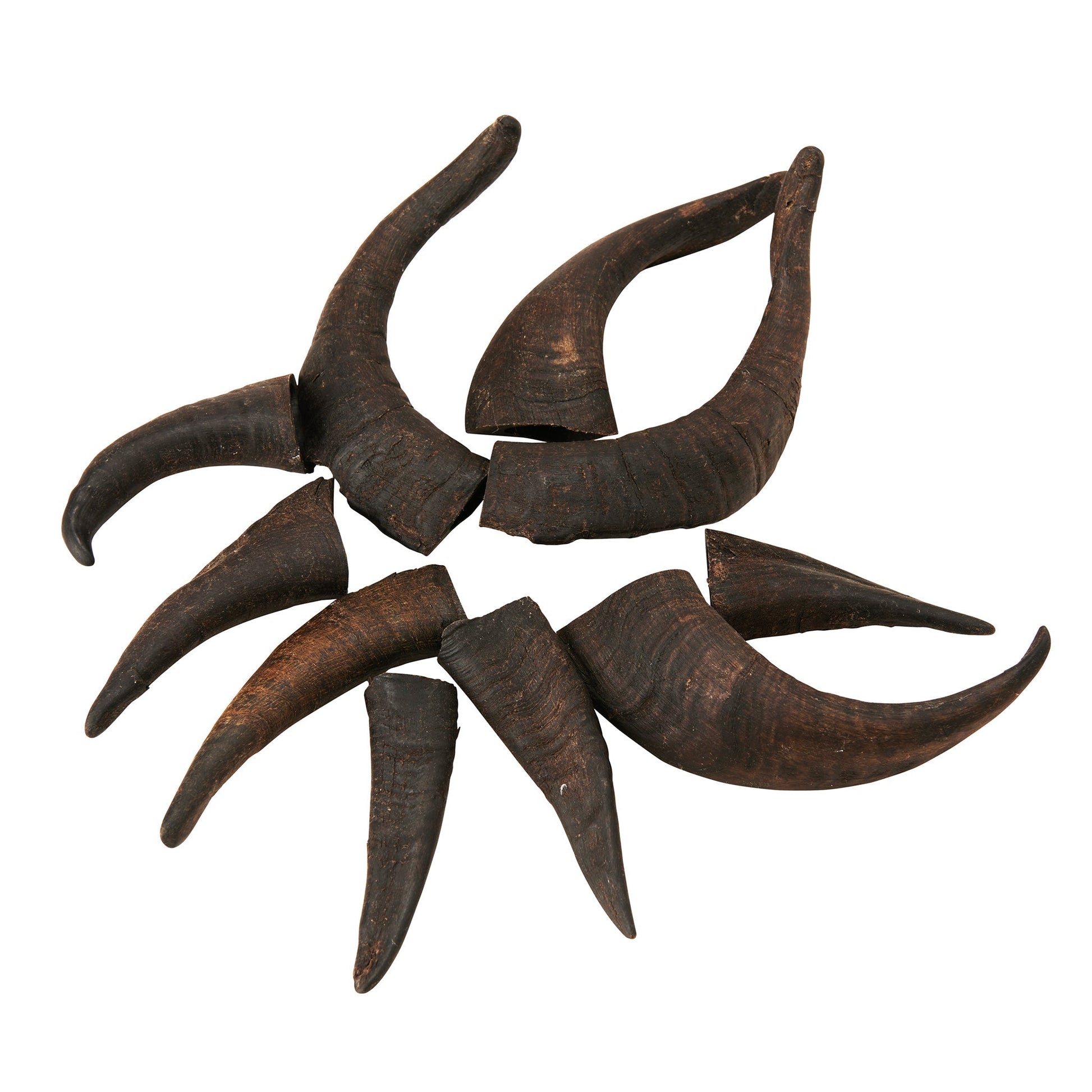 Mountain Goat Horn Dog Chews-10 Count-10 oz (WSP)-1