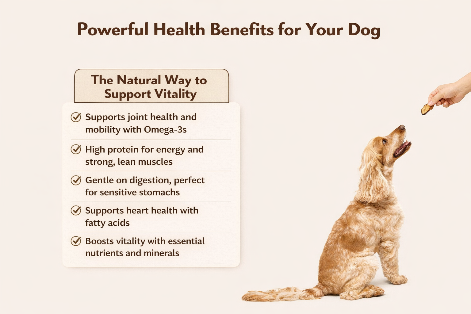 Wild-Caught Australian Sardine Dog Treats | Omega-3 Skin & Coat Support | Alfie’s Treatos
 with  health benefits.