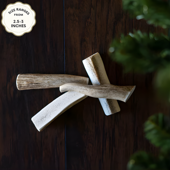 Elk Antler Chew – Natural Long-Lasting Dog Chew for All Breeds | Jagerhund