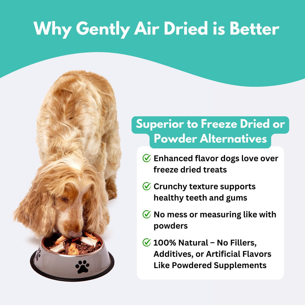 New Zealand Green Lipped Mussel Dog Treats-4