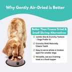 Wild-Caught Australian Jumbo Shrimp Dog Treats-4