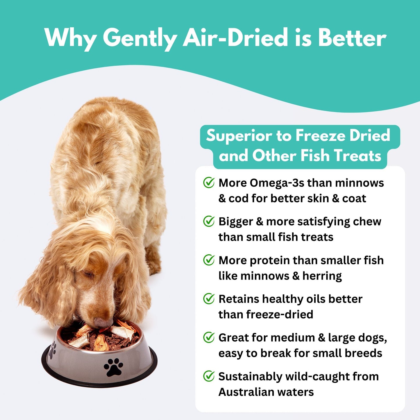 Wild-Caught Australian Sardine Dog Treats-4