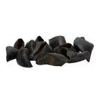 Close-up of several black dried curled horn pieces isolated on white background