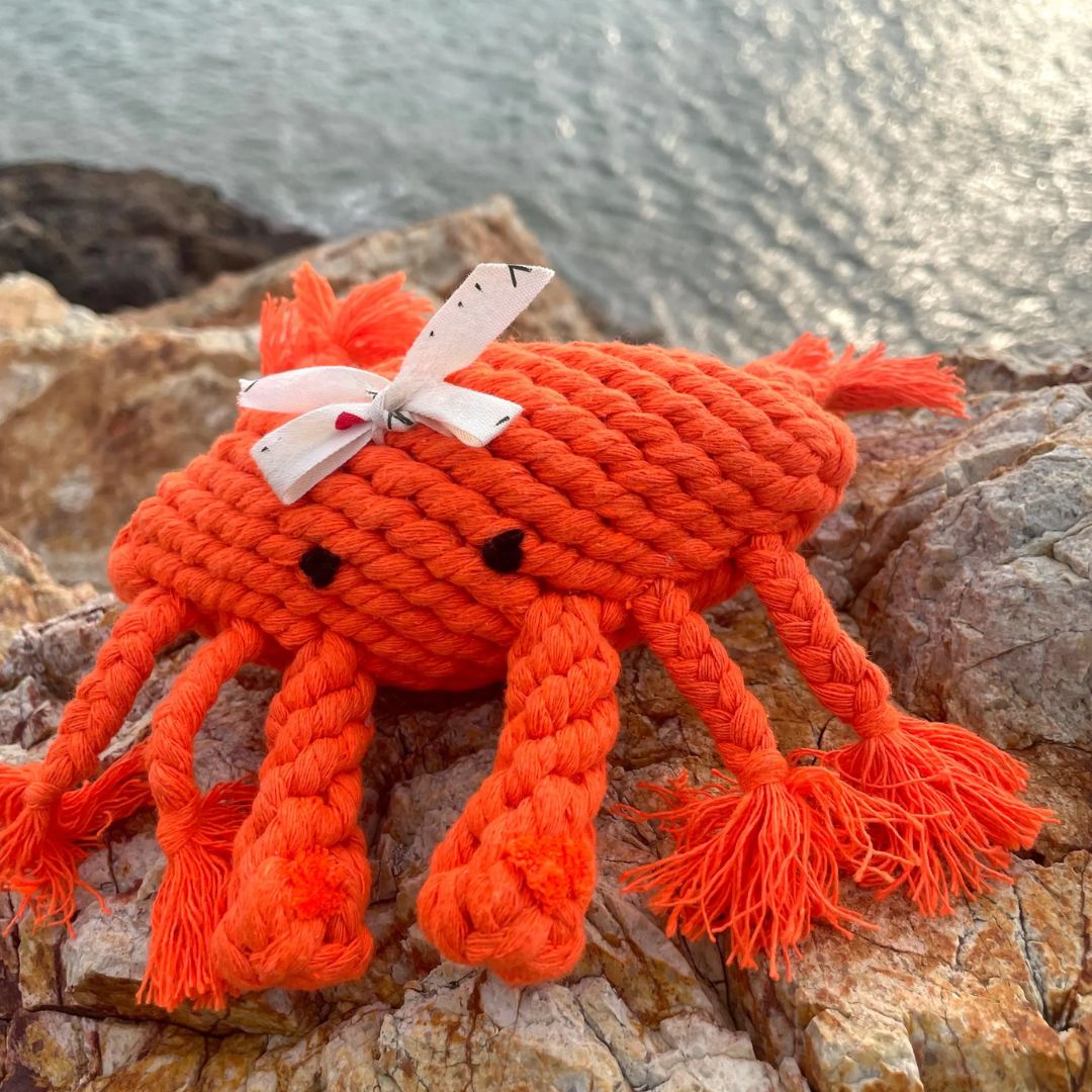 The Crab Dog Toy-2