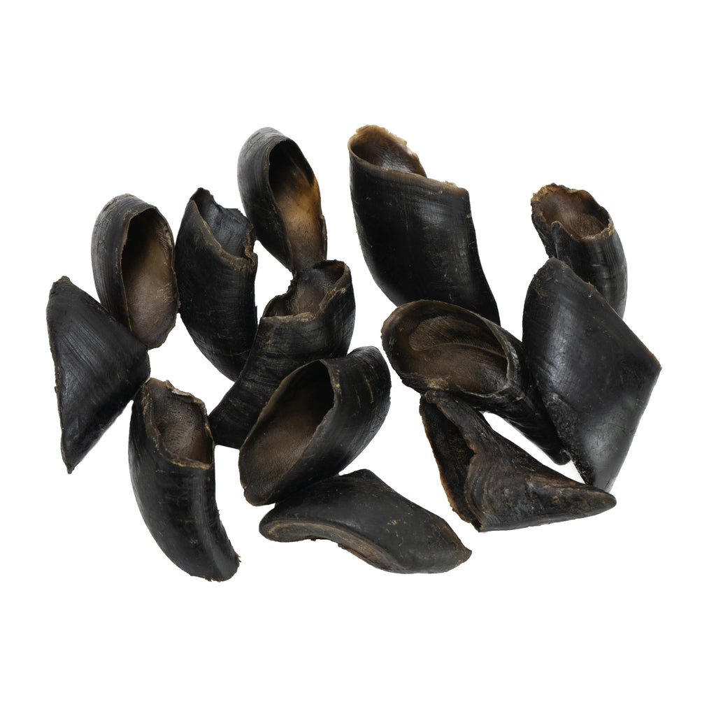 Close-up of several dark, curved buffalo horn tips isolated on white background