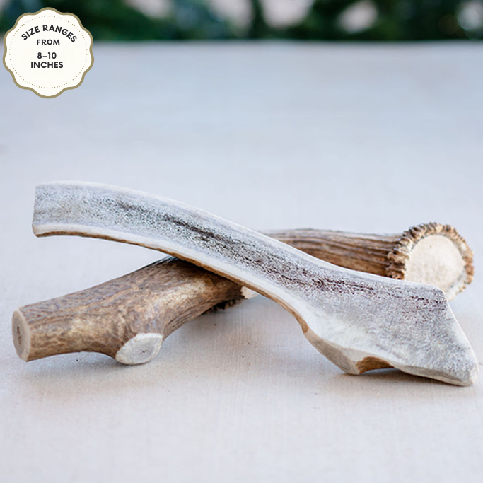 Elk Antler Chew – Natural Long-Lasting Dog Chew for All Breeds | Jagerhund