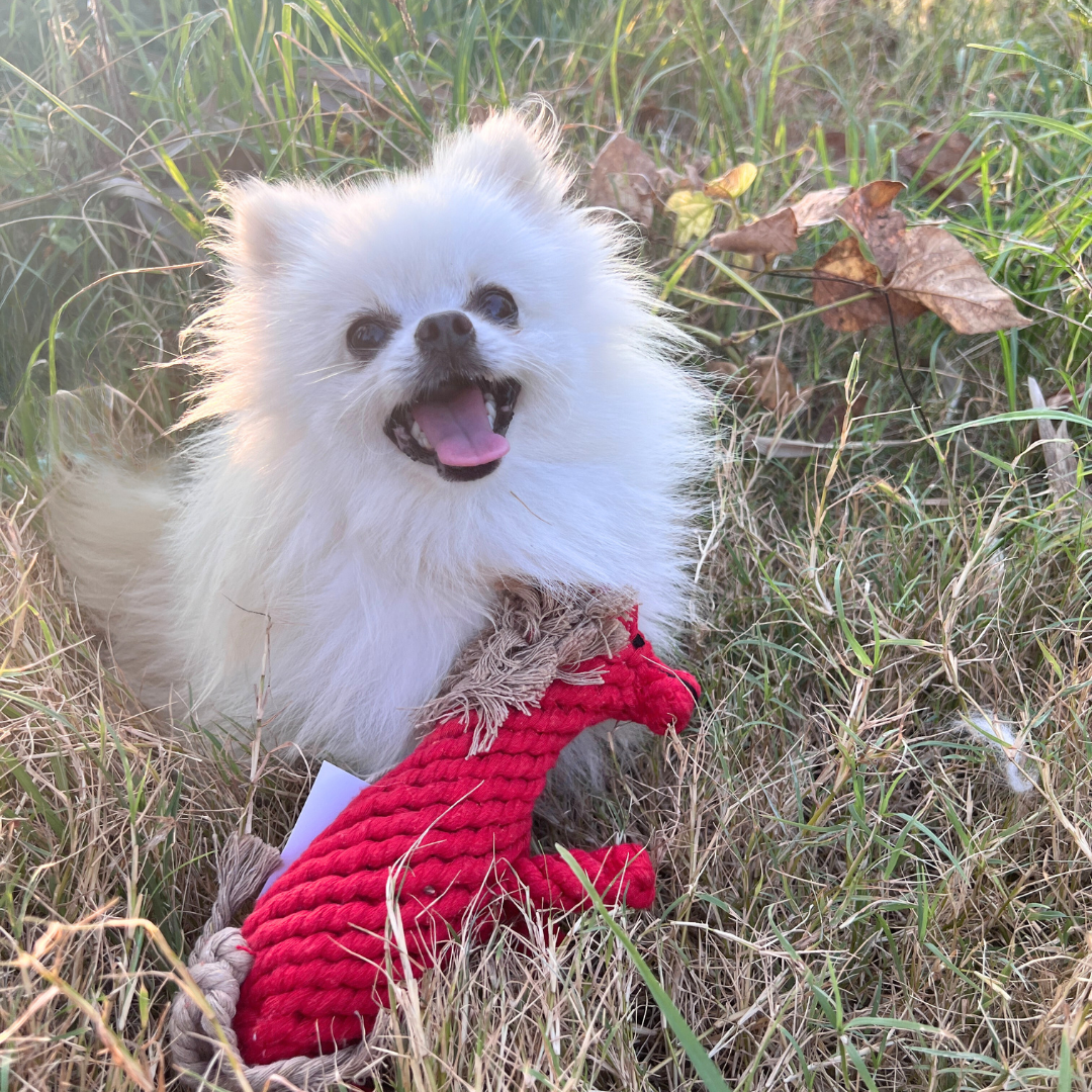 Ember the Red Horse Rope Toy-2