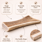 Moose paddle antler with text highlighting its benefits on a light background