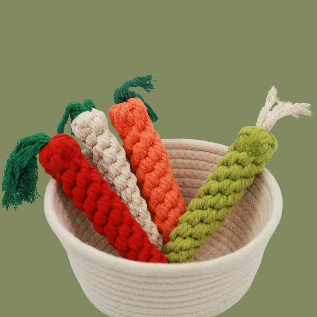Palatable Carrot Rope Toys-1
