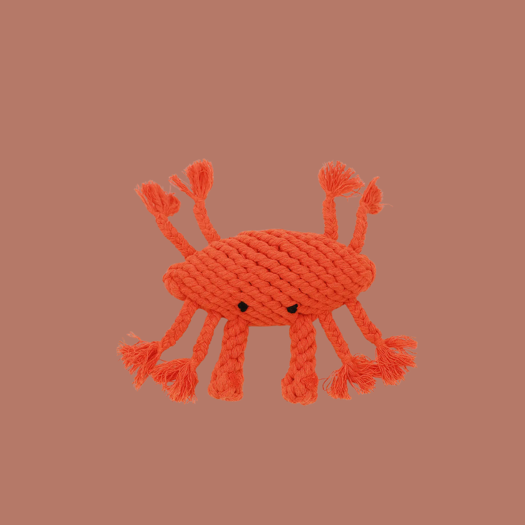 The Crab Dog Toy-1