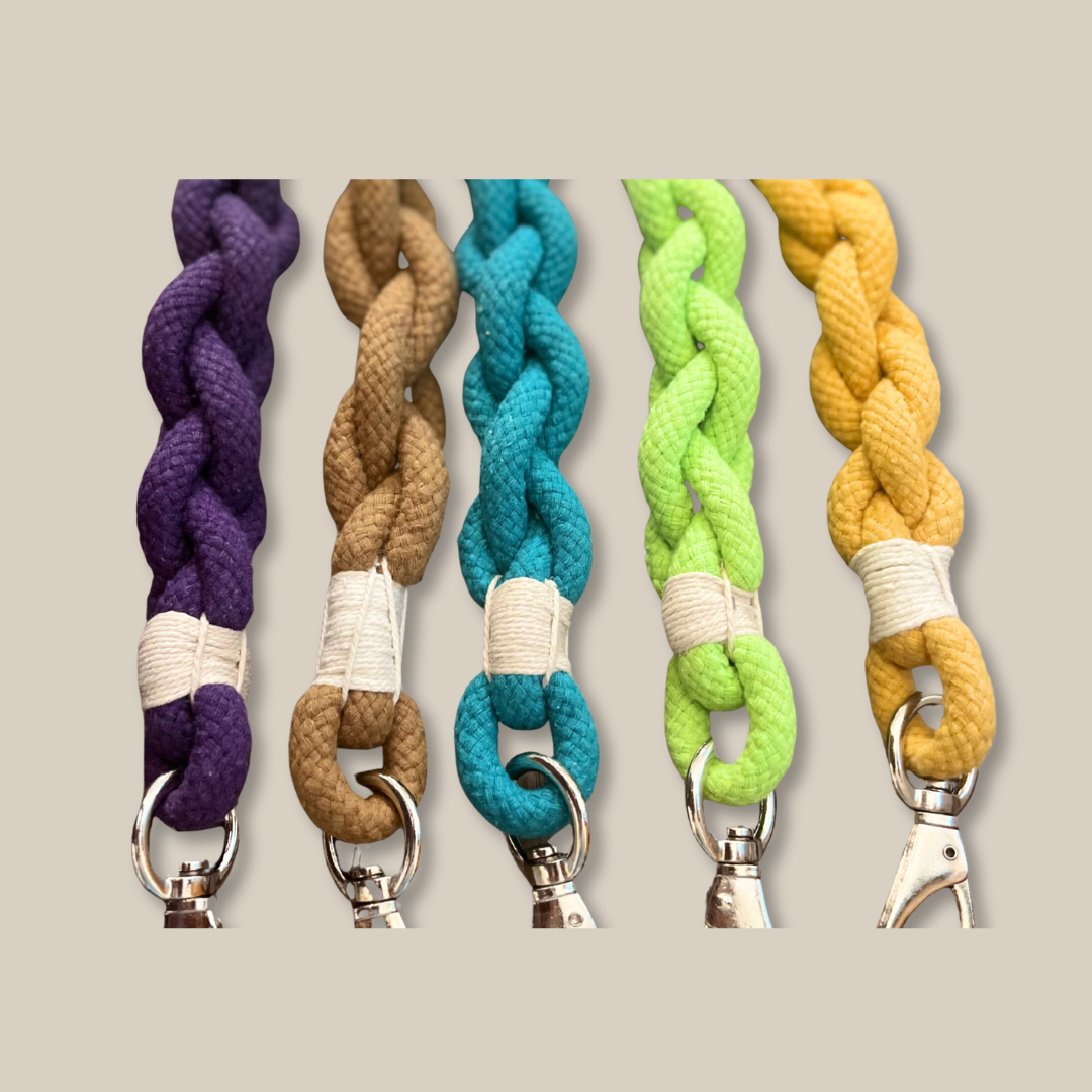 Xena Wanderlust Dog Leash Collection-2