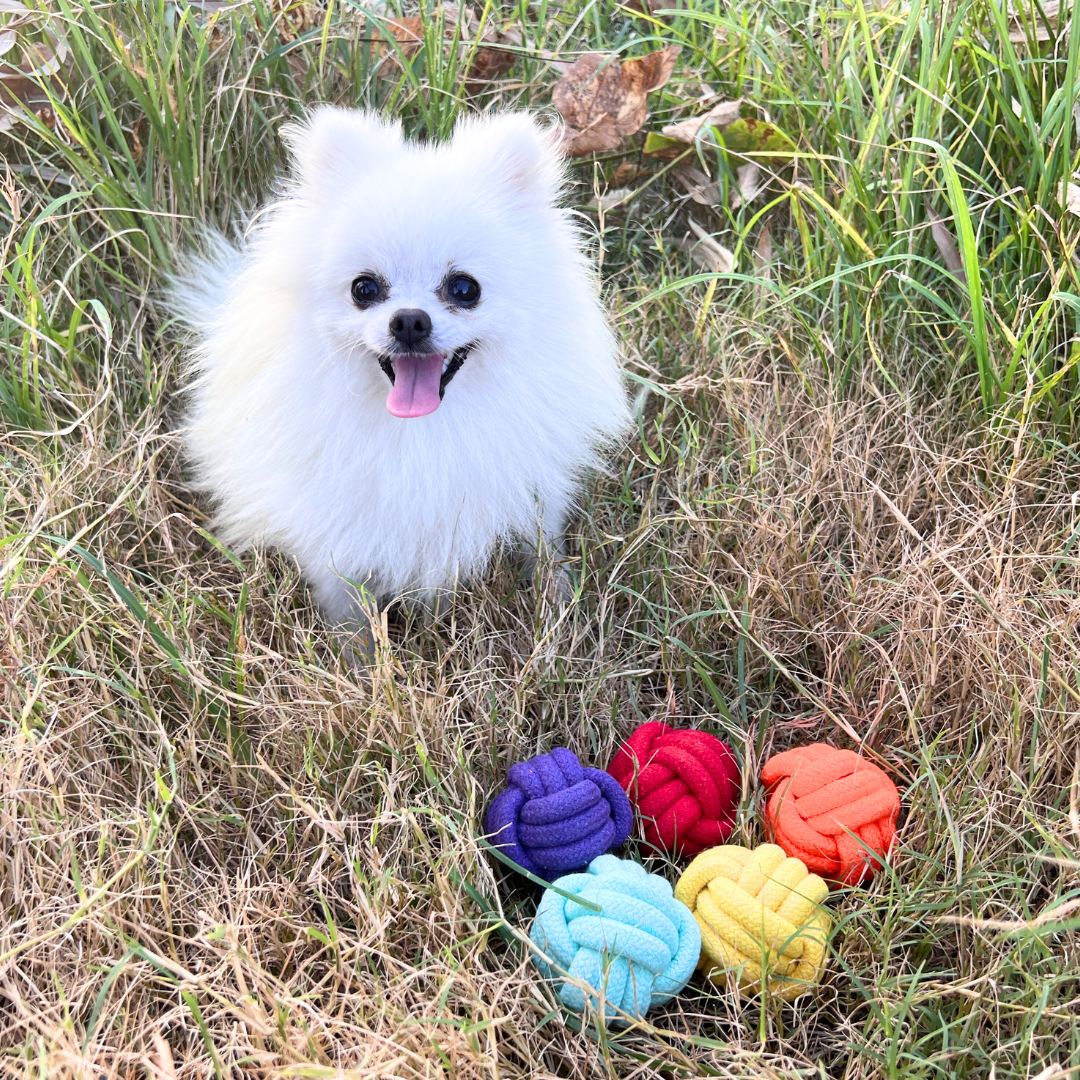 Petite Pup Rainbow Rope Ball Set-2