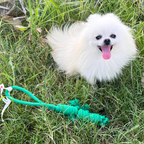 Owen the Green Lizard Rope Toy-2