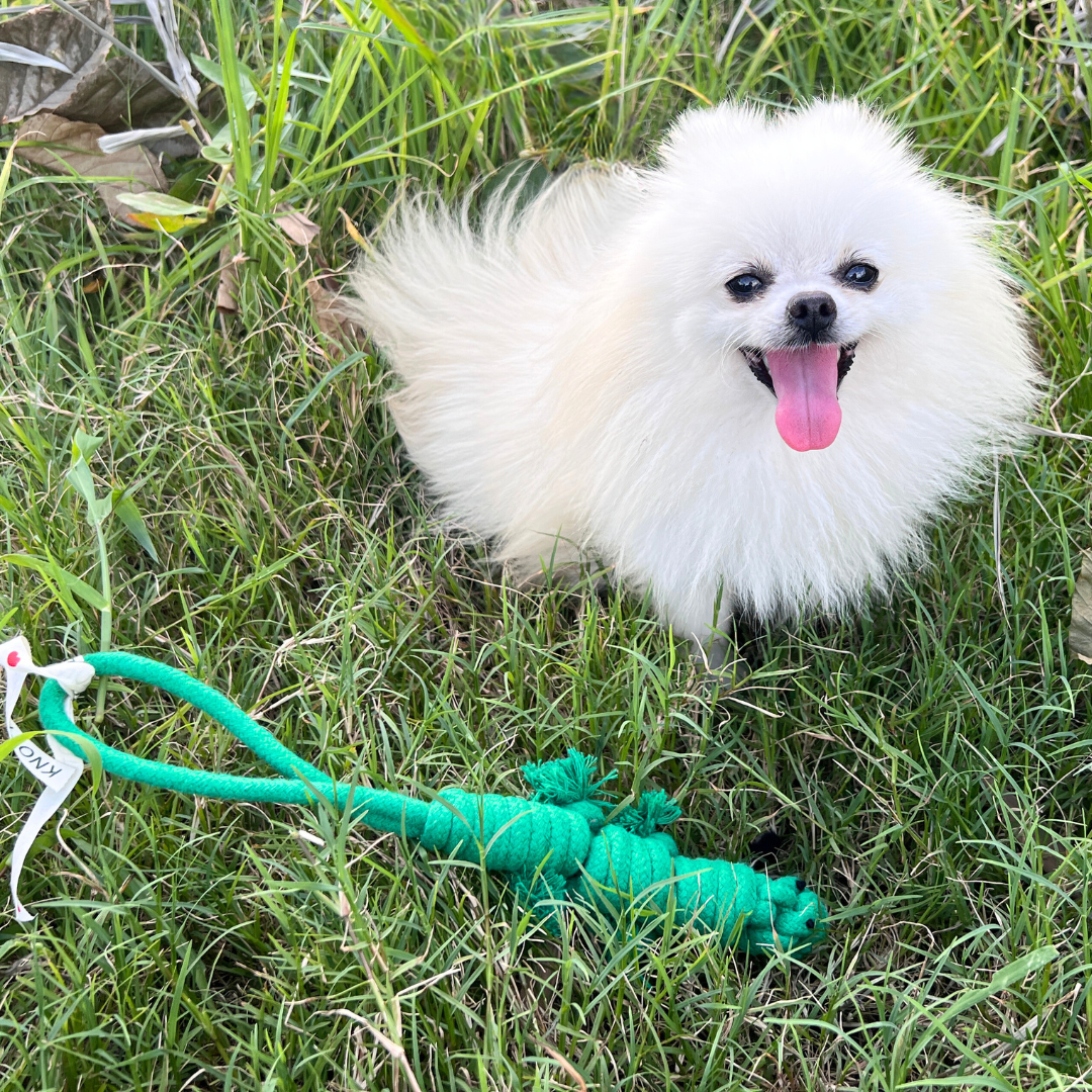 Owen the Green Lizard Rope Toy-2