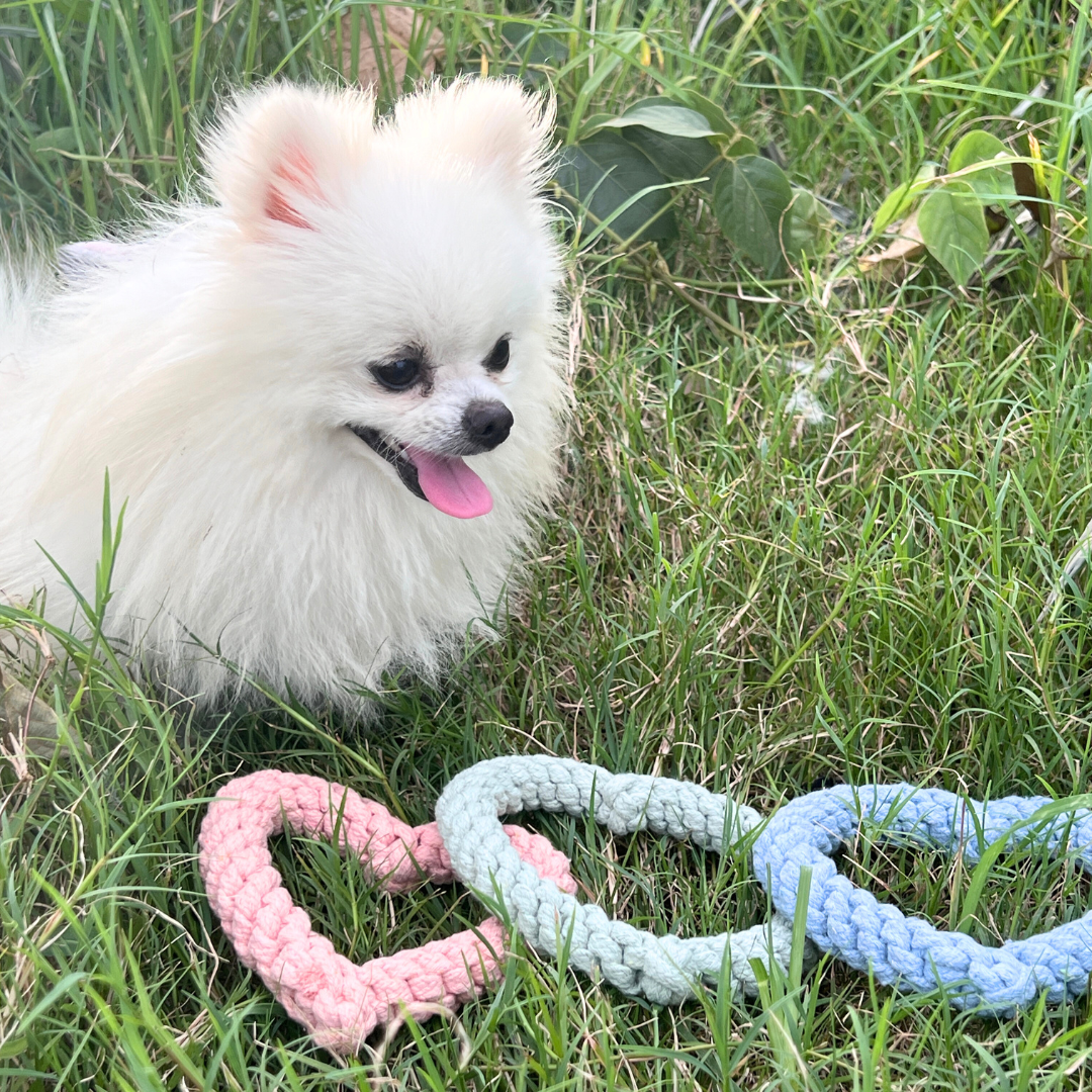 Sweetheart Macarons & Bear Hugs Collection Handmade Rope Dog Toys - Safe Engaging Play by Knotty Pawz