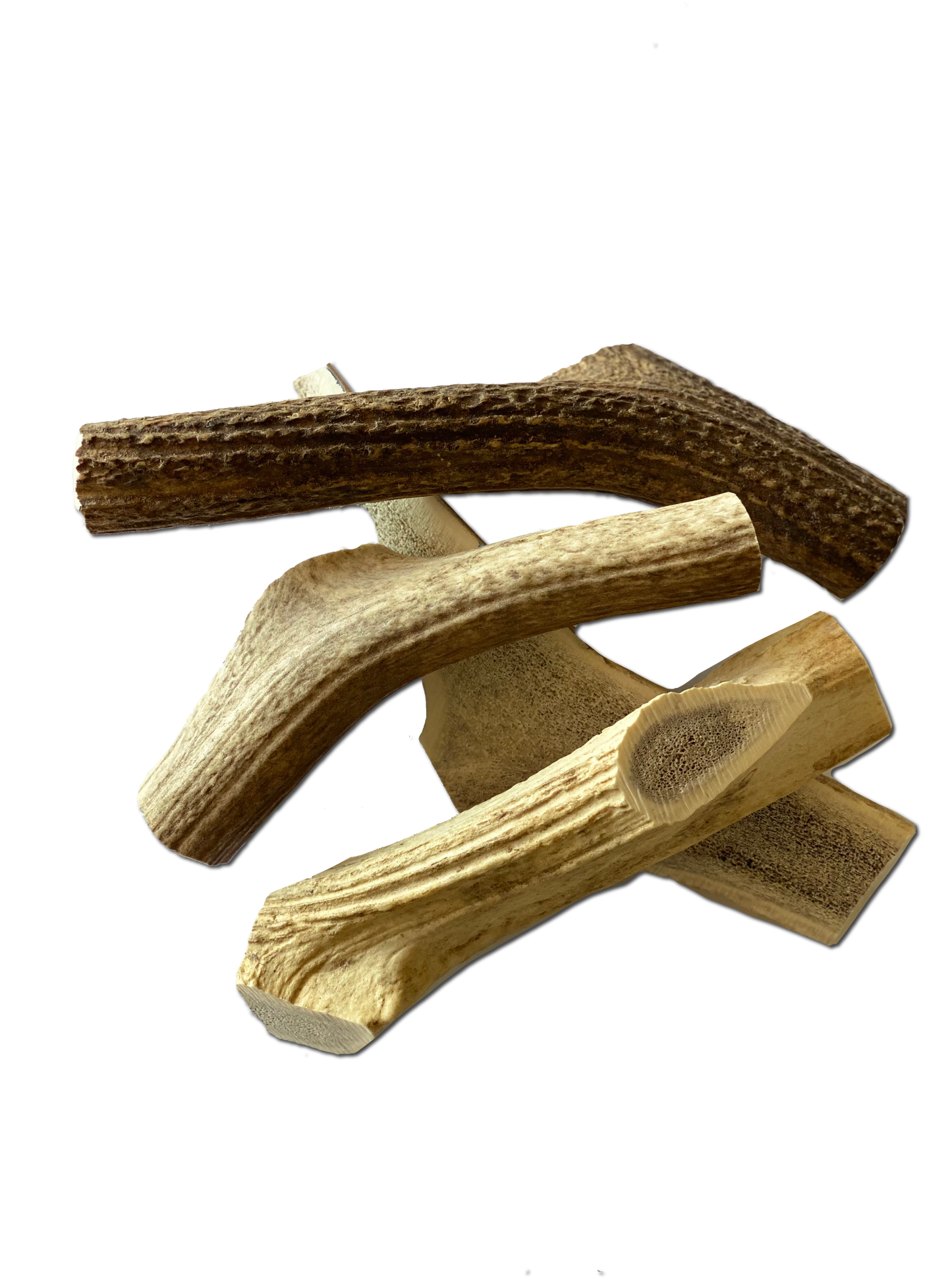 Extra Large Elk Chew-3