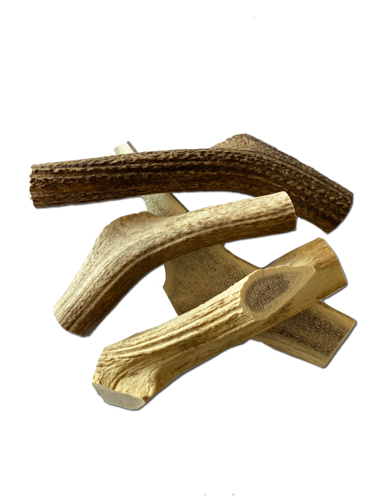 Extra Large Elk Chew-3