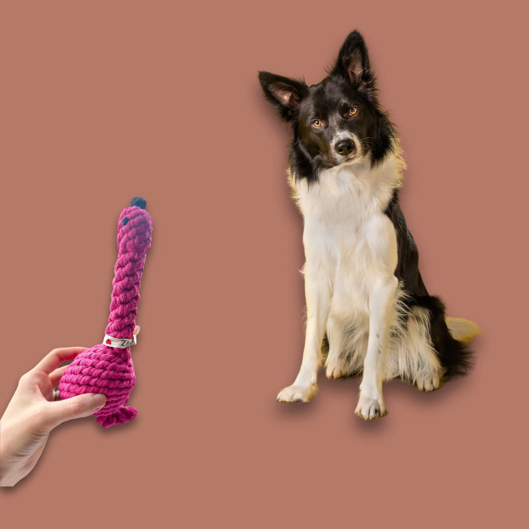 Flamingo Rope Dog Toy-2