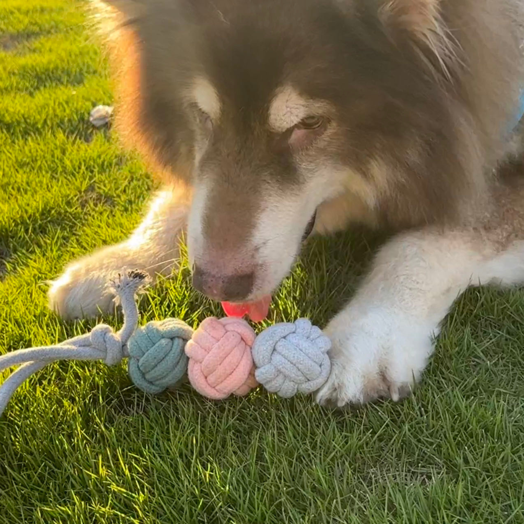 Ice Cream Rope Balls Tug Toy-2