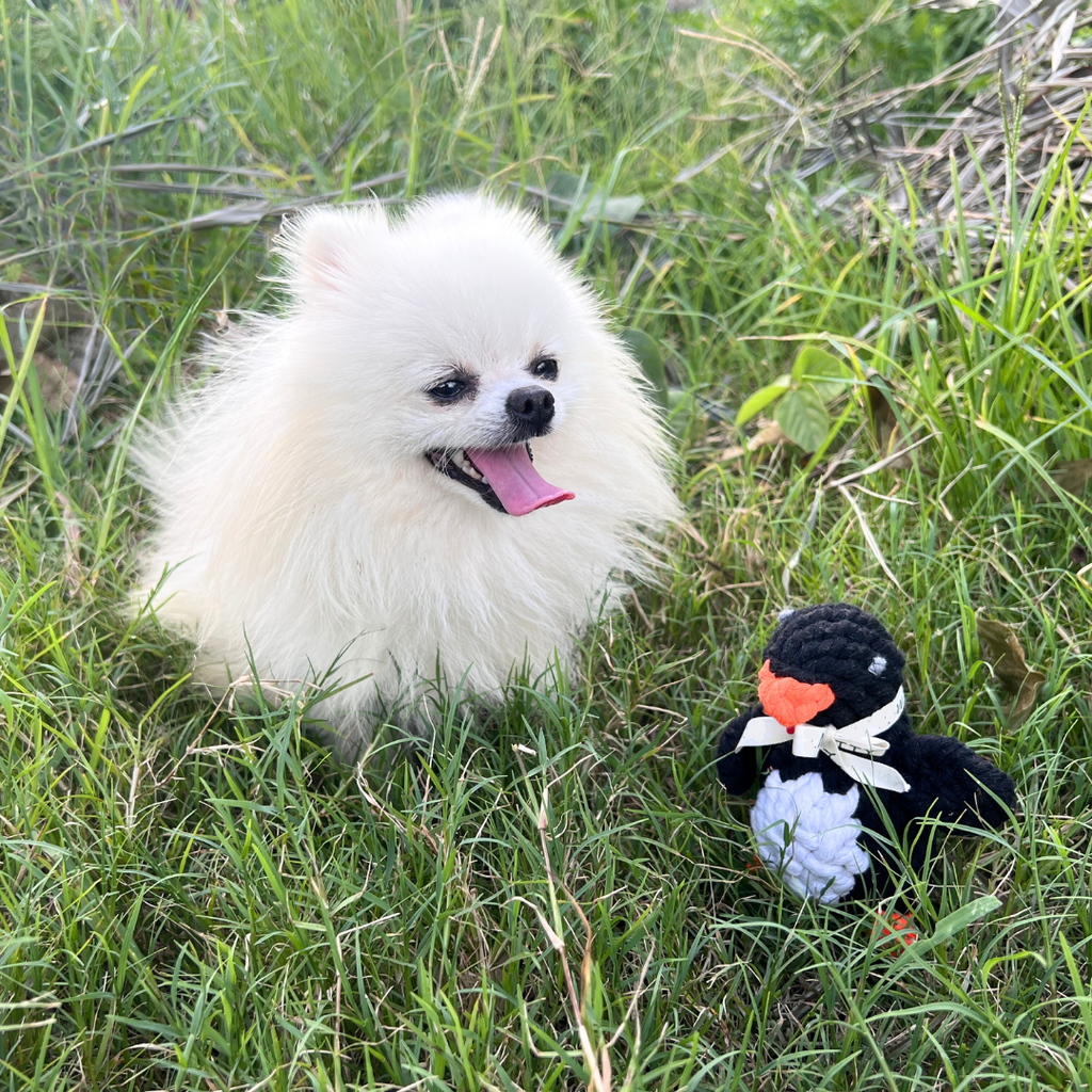 Kaixin the Penguin Rope Toy-2