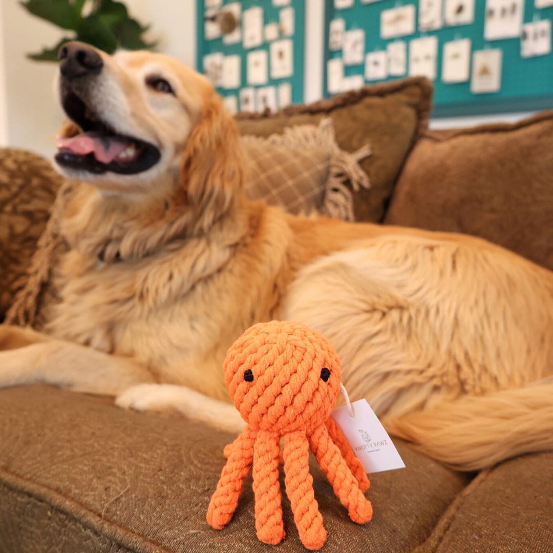 Ollie the Octopus Rope Toy-2