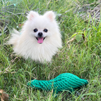 Rex the Green Dinosaur Rope Toy – Tough Tug Dog Toy by Knotty Pawz
