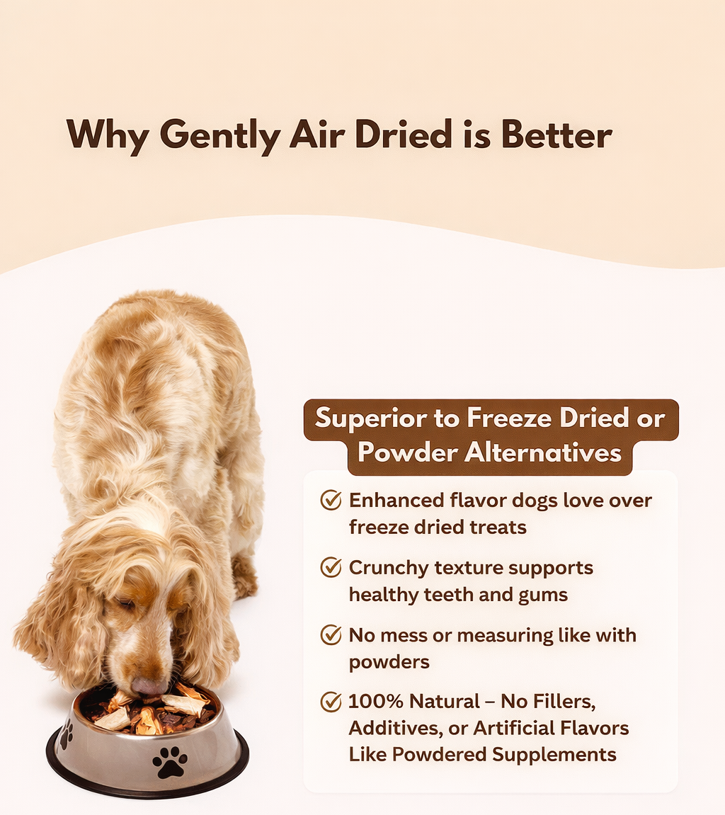 Dog eating from a bowl with text highlighting the benefits of gently air-dried dog food.