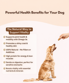 Dog receiving a treat with health benefits text on a white background