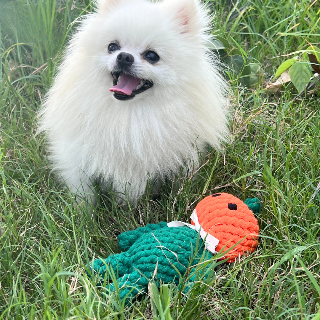 Adam the Pumpkin Baby Rope Toy-2