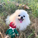 Eve the Apple Baby Rope Toy-2