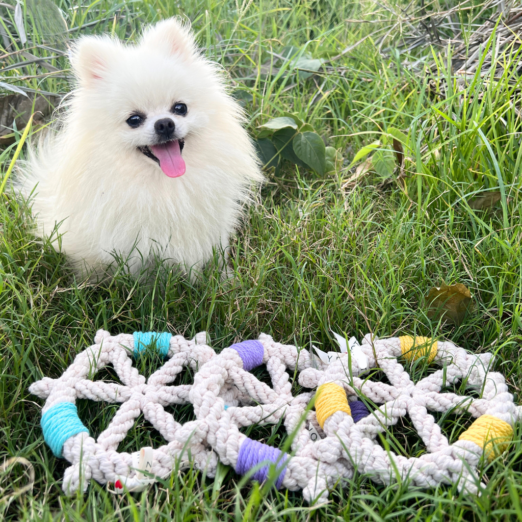 Color wheel Macrame Rope Pet Toy-2