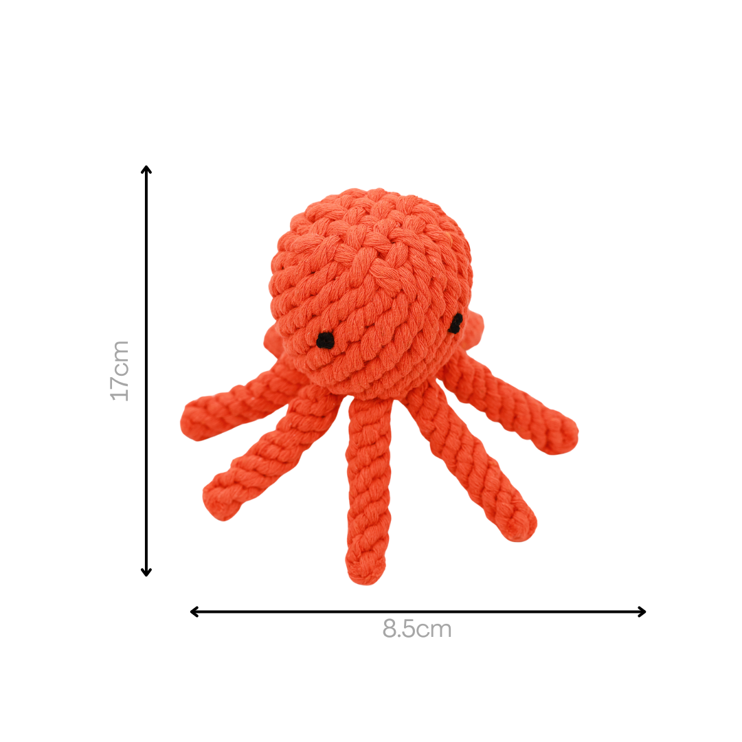 Ollie the Octopus Rope Toy-3