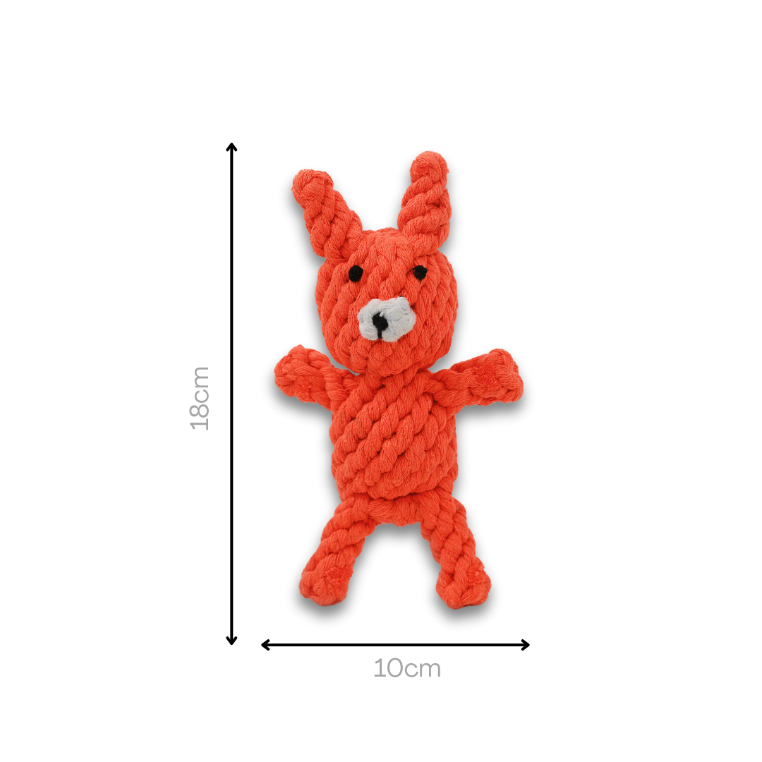 Handmade Eco-Fox Chew Rope Toys-3
