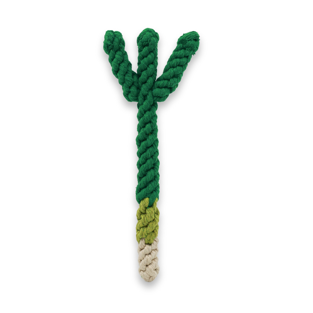 Handmade Scallion Dog Rope Toy - Eco-Friendly Chew Fun by Knotty Pawz