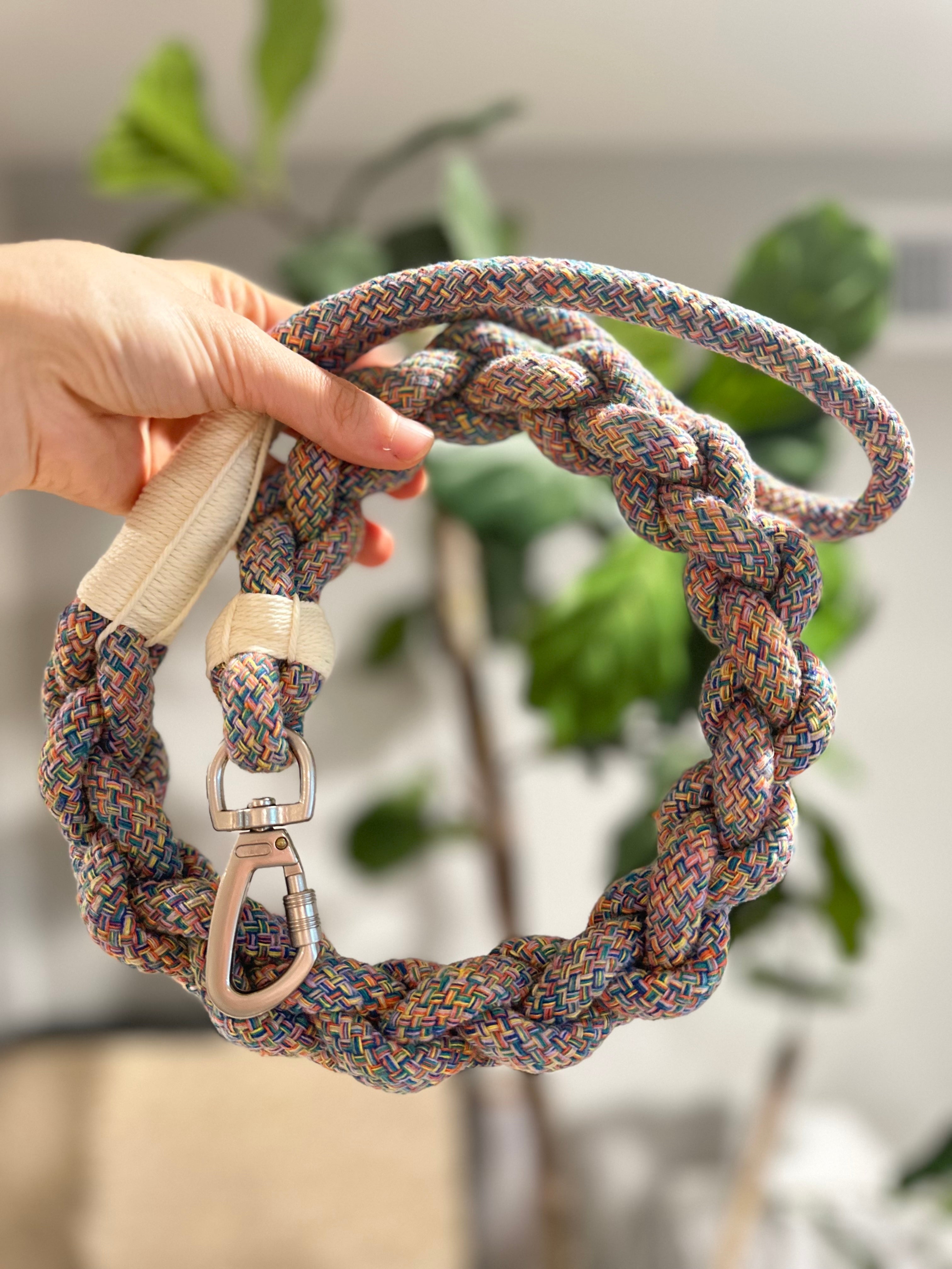 New: Handcrafted Rainbow Rover Dog Leash | Sustainable-3