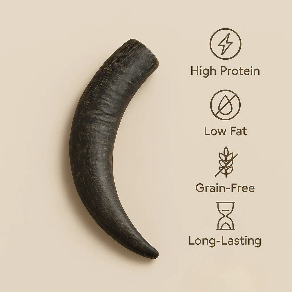 Dark curved dog chew horn with high protein, low fat, grain-free, long-lasting benefits