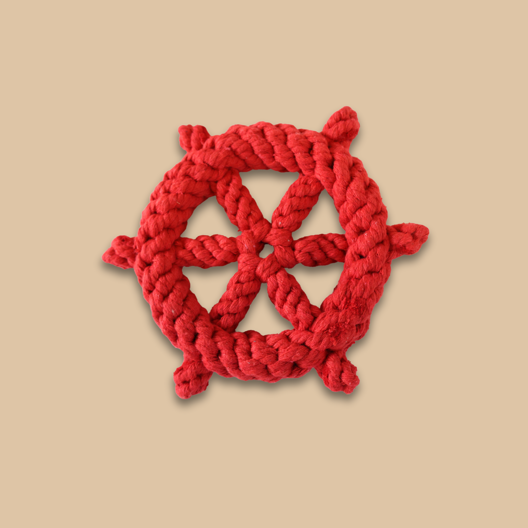 Lucky Red Wheel Dog Toy-1