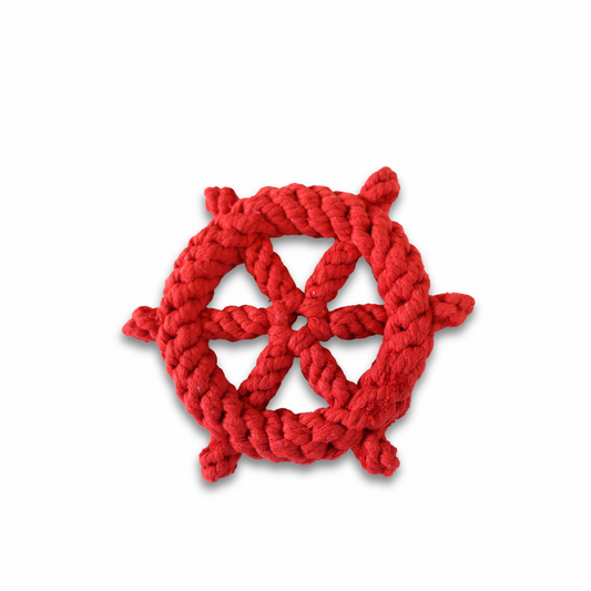 Lucky Red Wheel Dog Toy-0