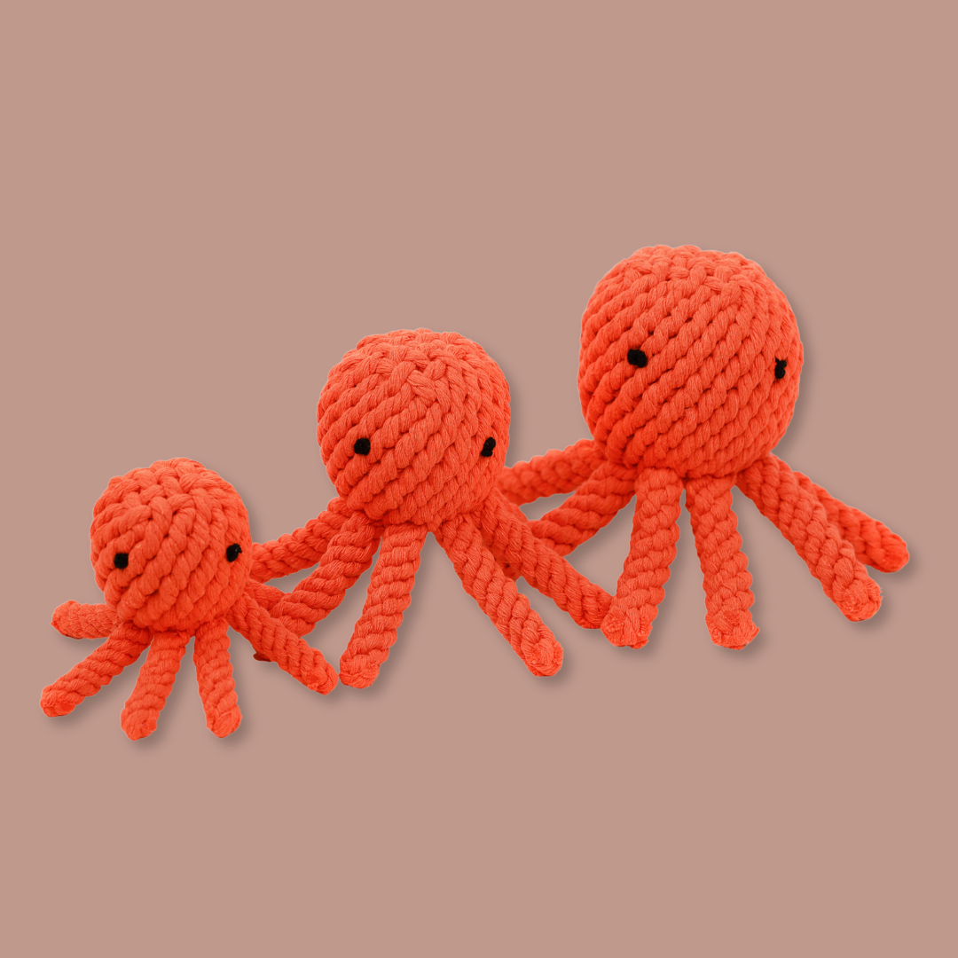 Ollie the Octopus Rope Toy-1